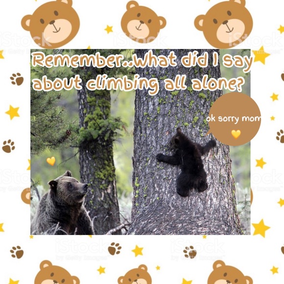 🐻KIDS BUY 1 GET 1 HALF🐻 - Picture 8 of 8